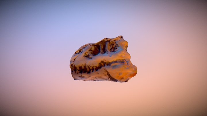 Trex Skull 3D Model