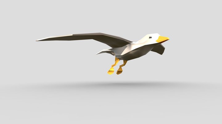 Low poly seagull 3D Model