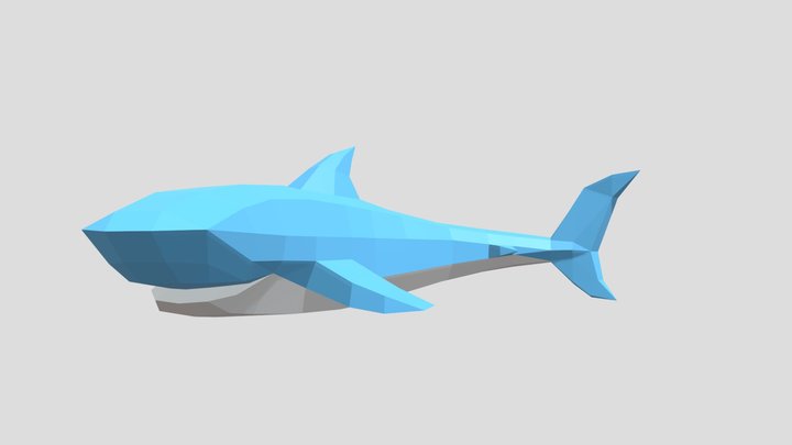 Shark Low Poly 3D Model