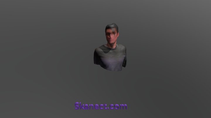 New Skanect Model 3D Model
