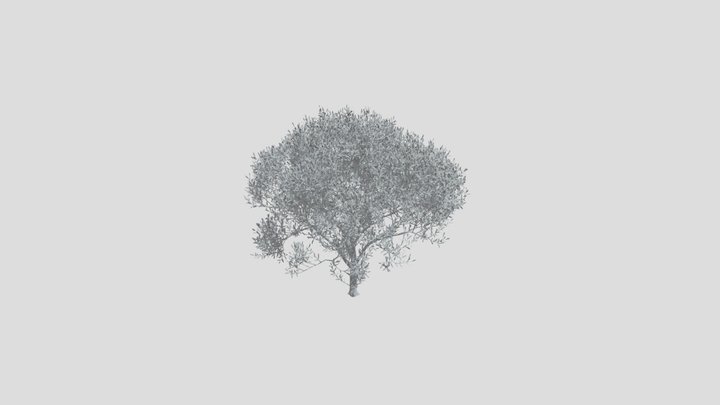 Olive Tree Med – Modello 3D gratuito STL
