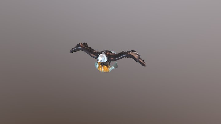 Eagle with fish 360scan