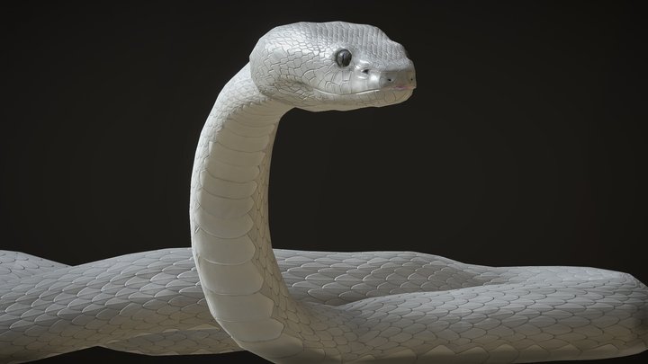 White Viper Snake with animations 3D Model
