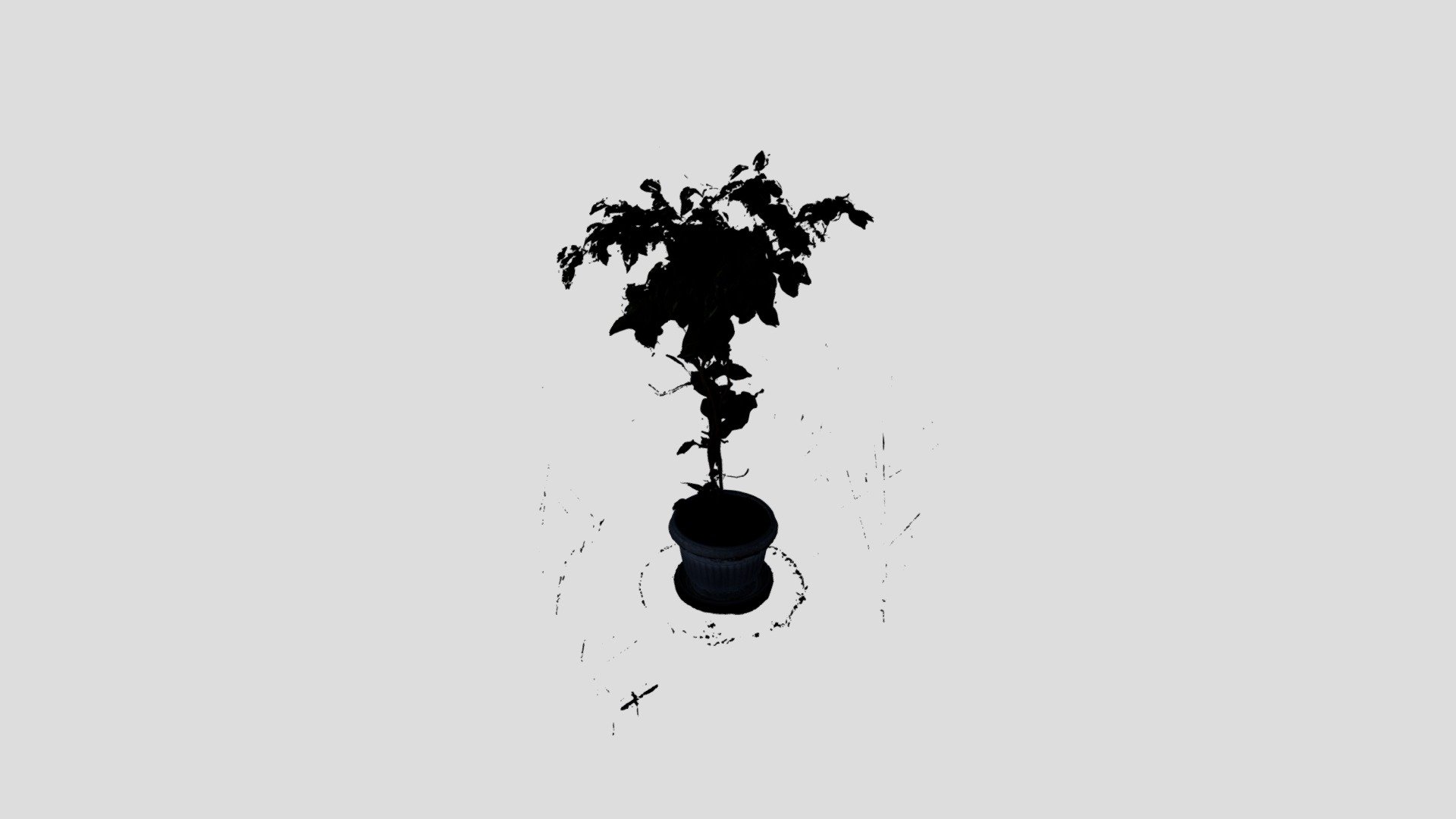 METASHAPE PLANT RAW