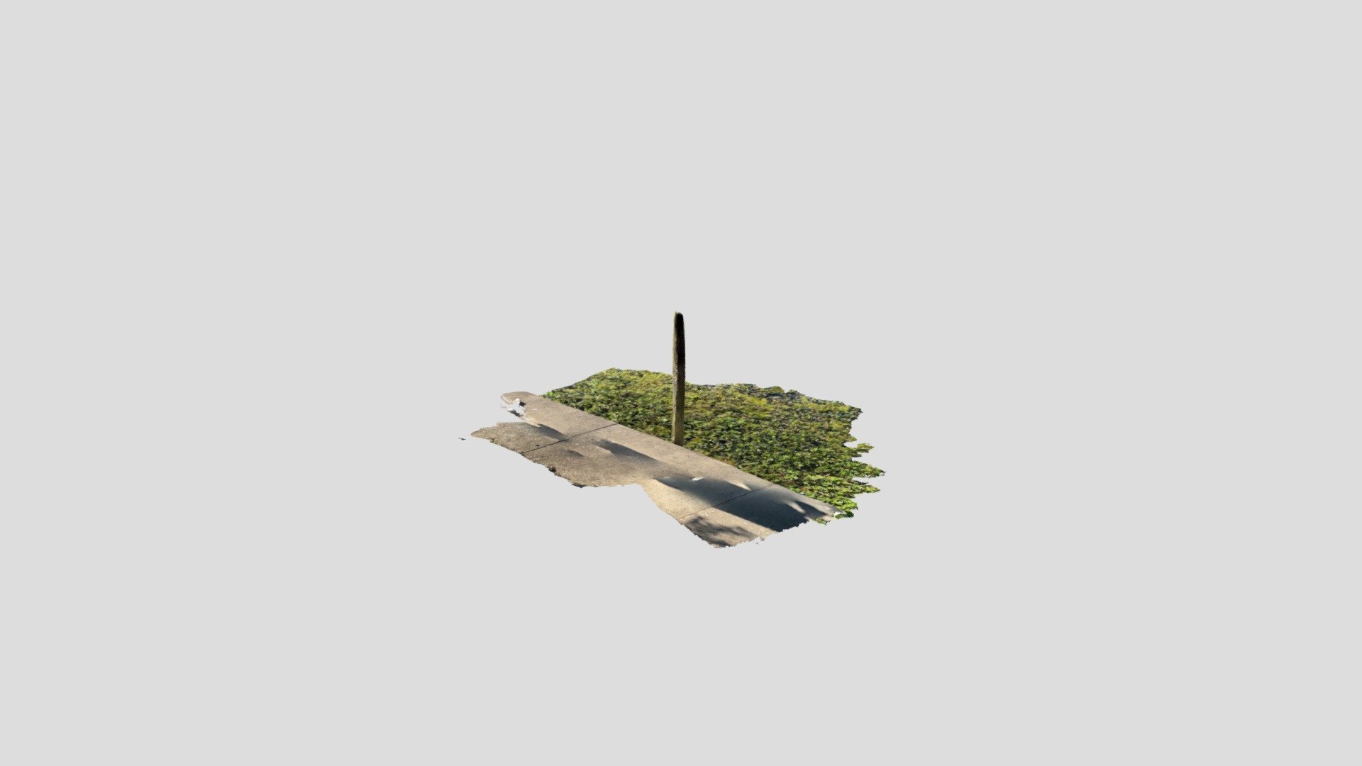 Water Sample Location 2 - Hyde Park Pond