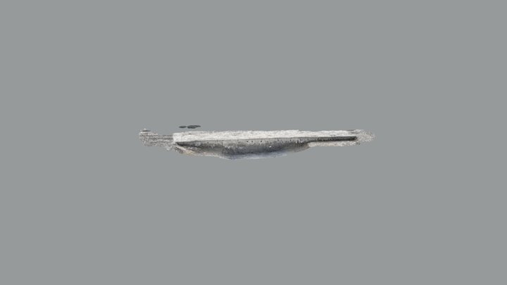 Scaniverse Model 3D Model