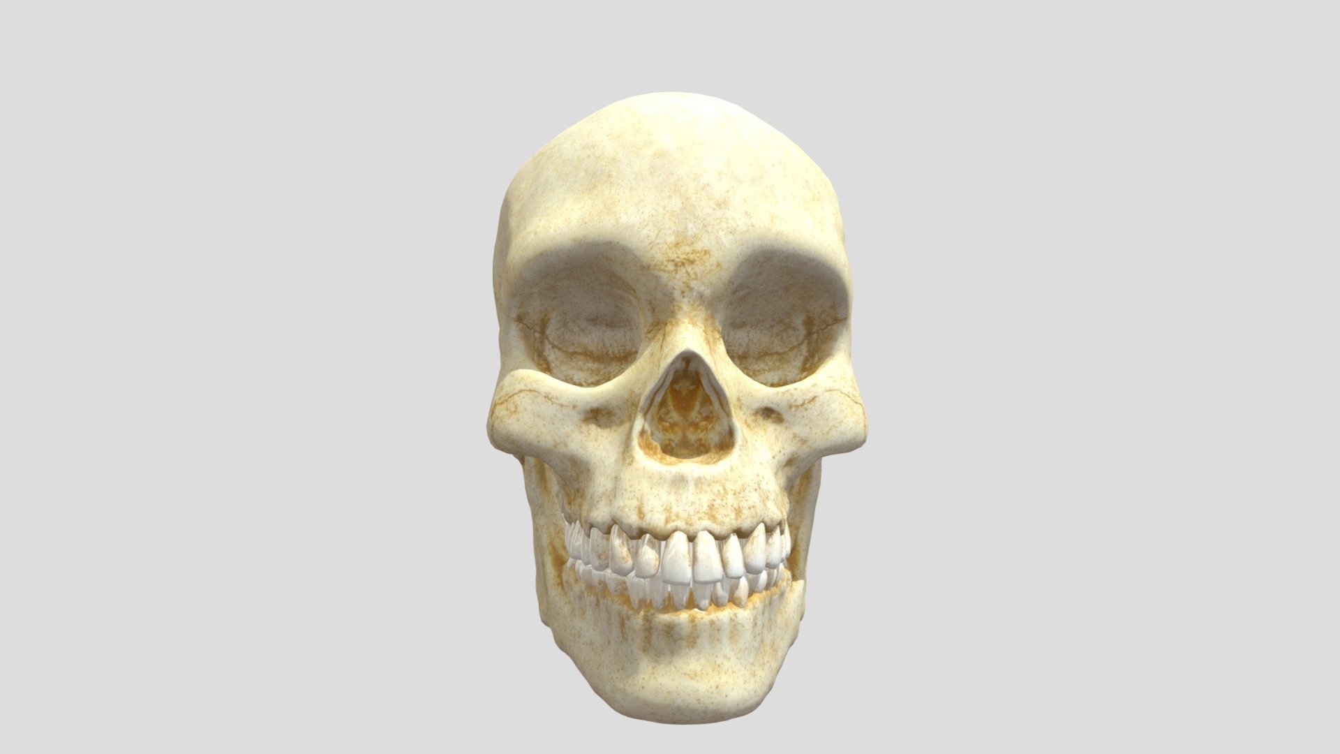 skull