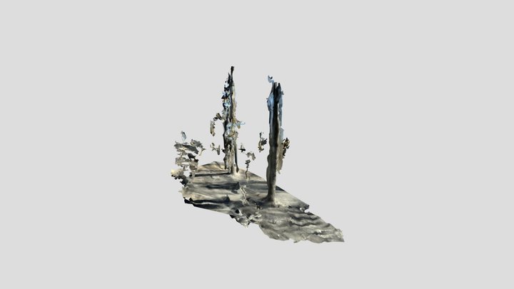 bonpan4 3D Model