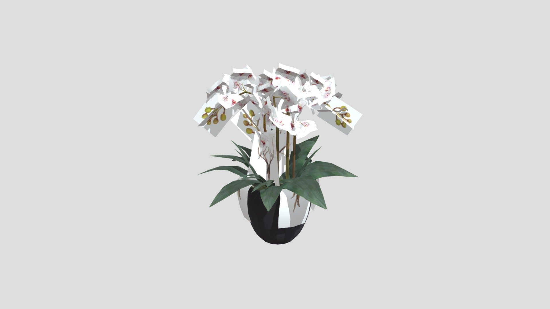 KEJORA-05 Modern Arrangement