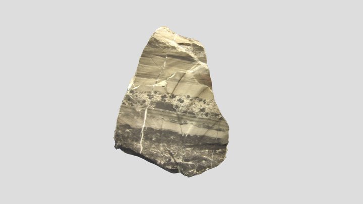 Sedimentary Rock (Limestone) 3D Model