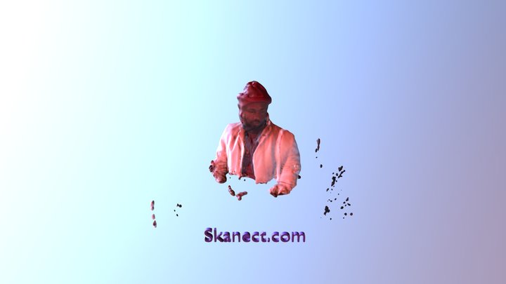 New Skanect Model 3D Model