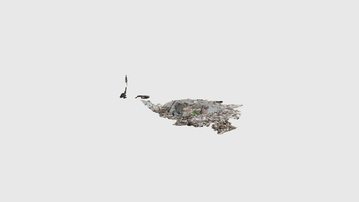 Glendun Formation schist, Cushendun 3D Model