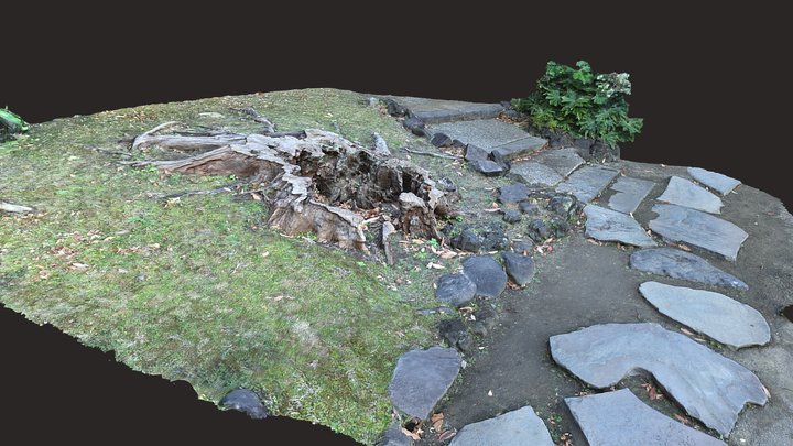旧芝離宮庭園切り株2  A stump in Kyu-Shiba Imperial Garden 3D Model