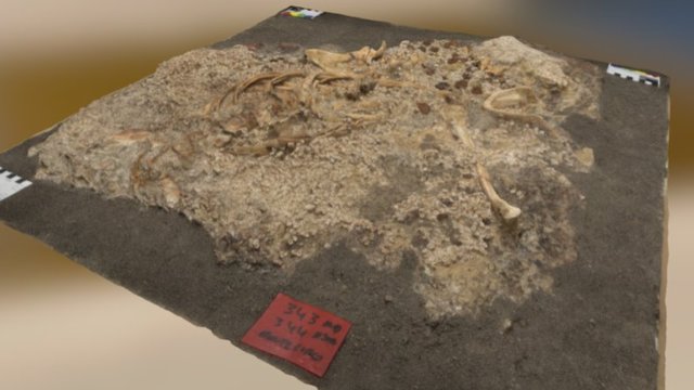 Montelirio Burial 1 3D Model