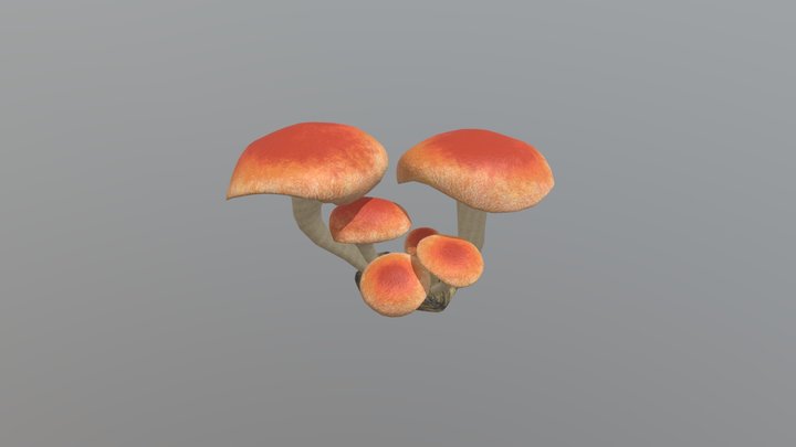 Orange Mushrooms on a rock 3D Model
