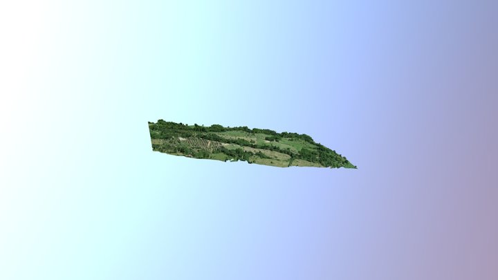 Tamesis Finca Santa Marta 3D Model