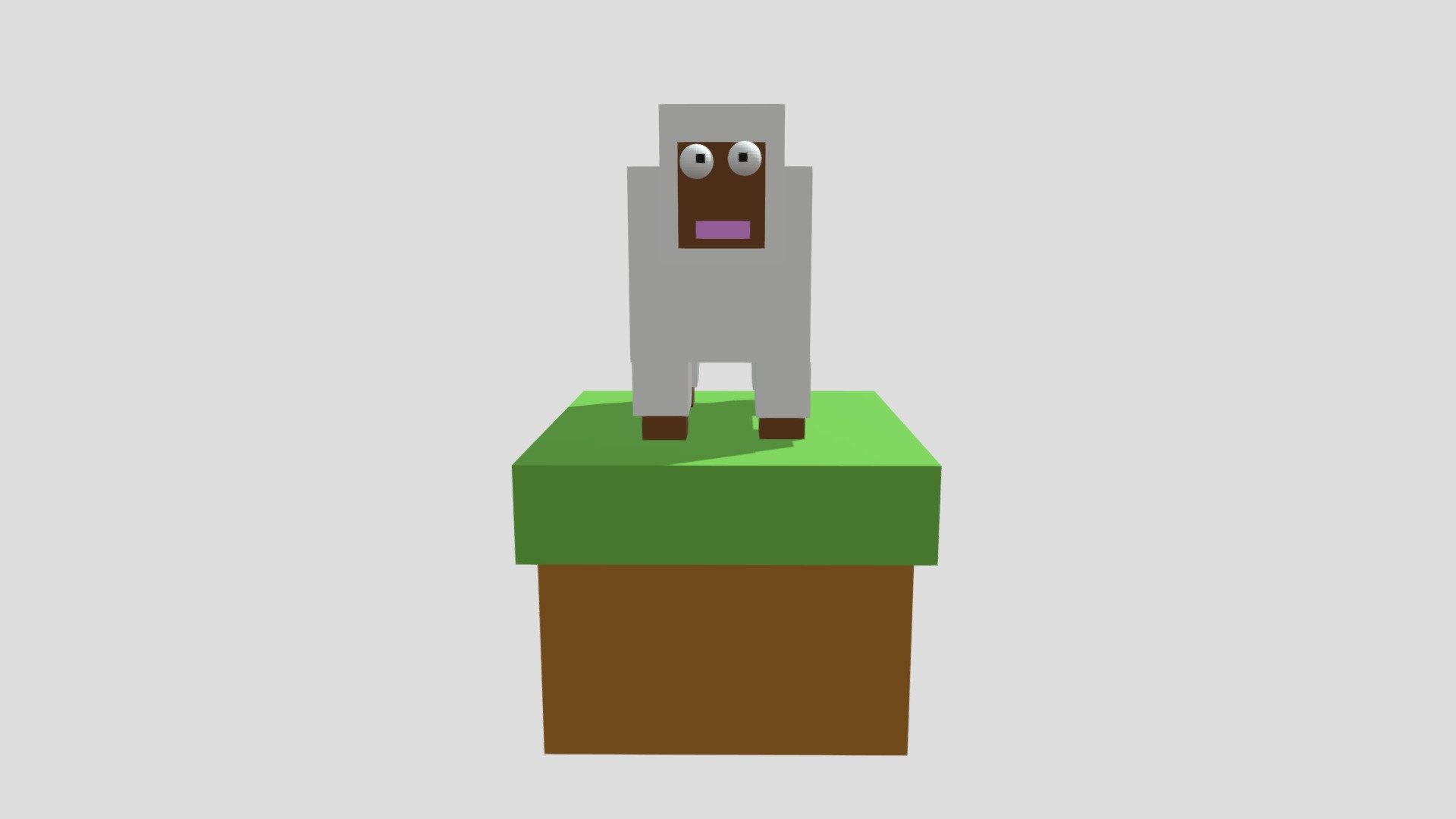 BELLALIM SHEEP