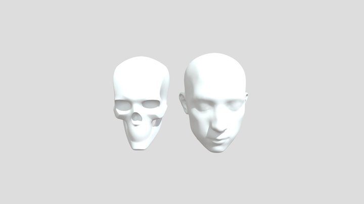 My model 3D Model
