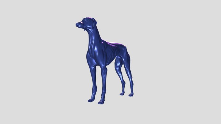Greyhound 3D models - Sketchfab
