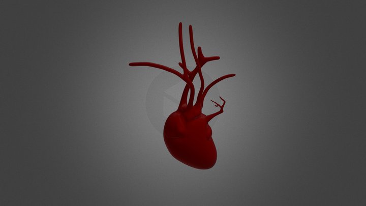 Heart7 3D Model