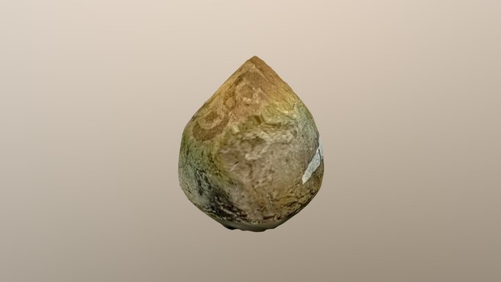 Apalachee Cooking Ball 3D Model