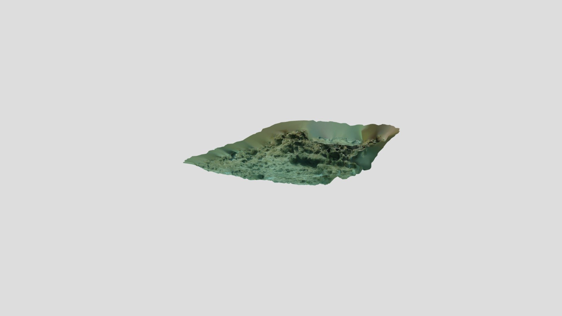 JVDPSGreatHarbourFoxy020718Quadrat1Model
