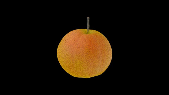 Nanguo pear 3D Model