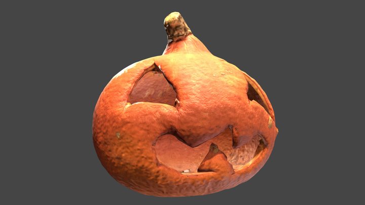 Pumpkin scan 3D Model