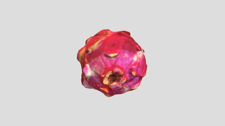 Dragon Fruit / Buah Naga by Alvinfk 3D Model