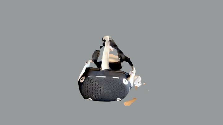 Test 3D Model