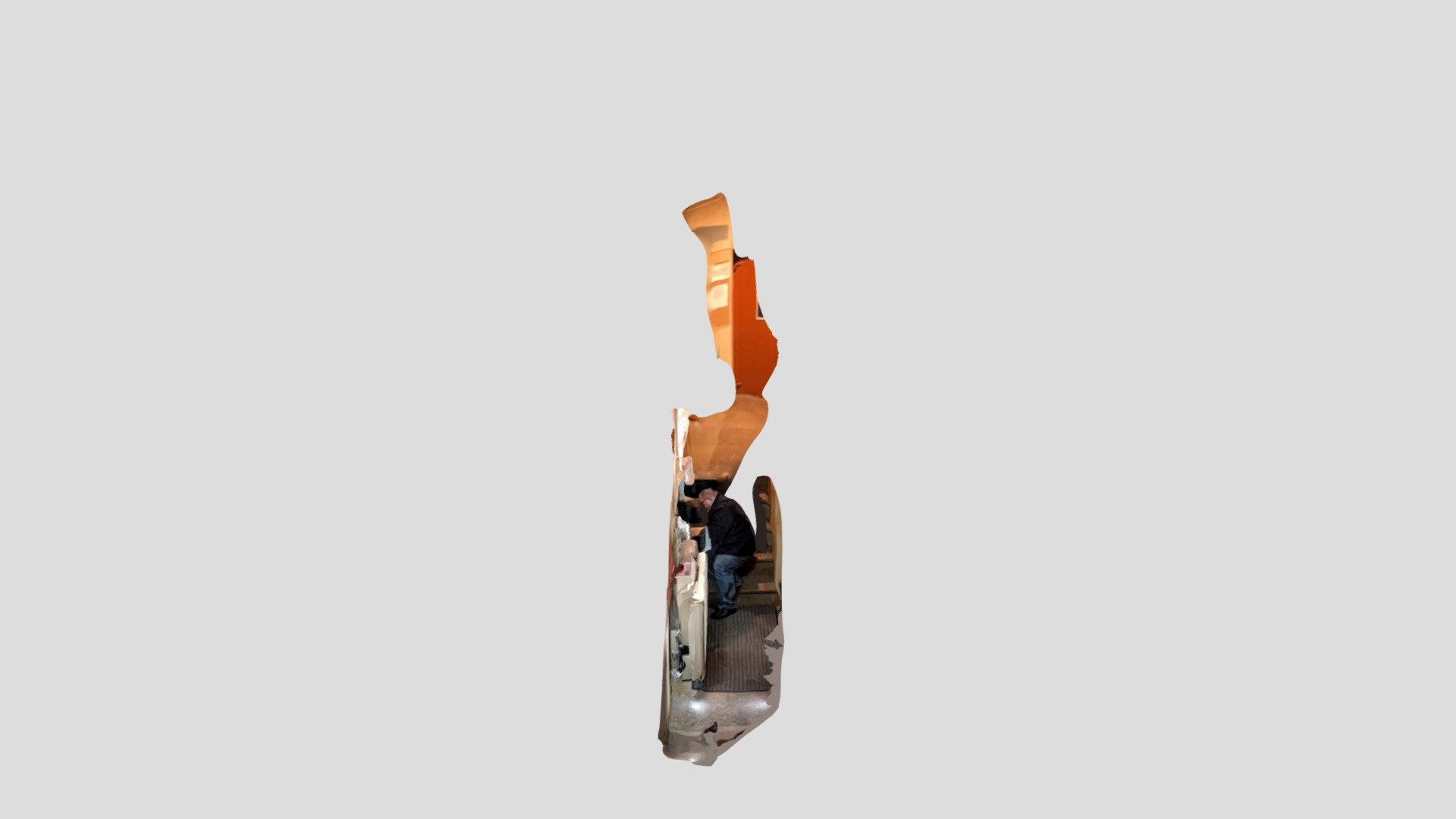 Polycam capture