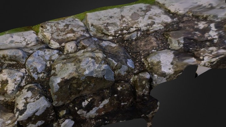 Lichen covered Stone at Tinten  3D Model
