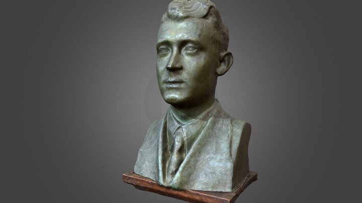 Busta Alexandra Húščavu 3D Model