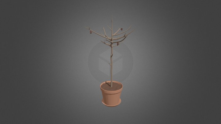 Jitterbug Dead Tree 3D Model