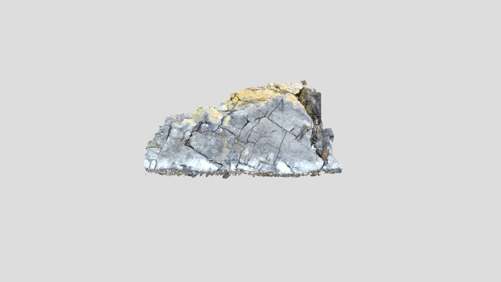 Tralee_Bay_West_Limestone 3D Model