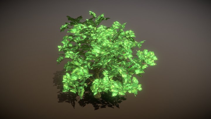 Long branch tree