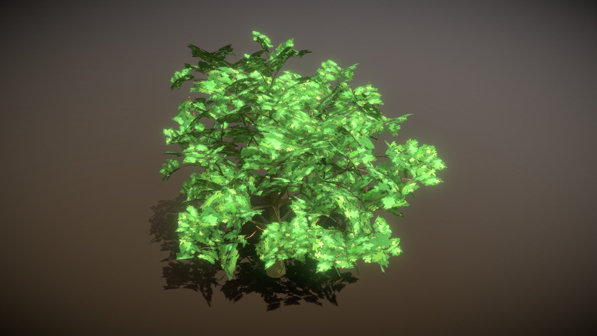 Long branch tree