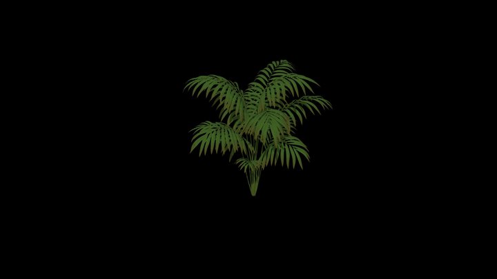 Kentia palm OBJ 3D Model