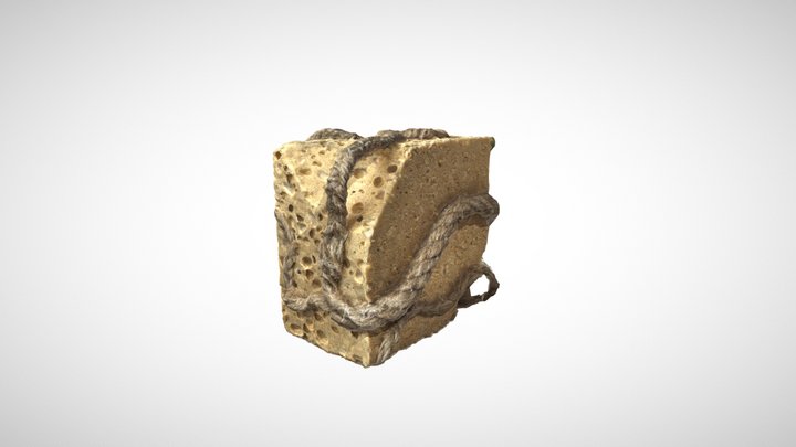 ENSAL_e223_GUICHARD_Camille 3D Model