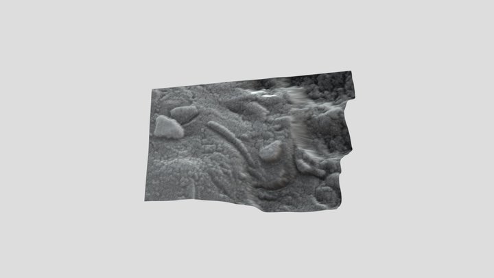 Potential micro organism in ALH84001 meteorite 3D Model
