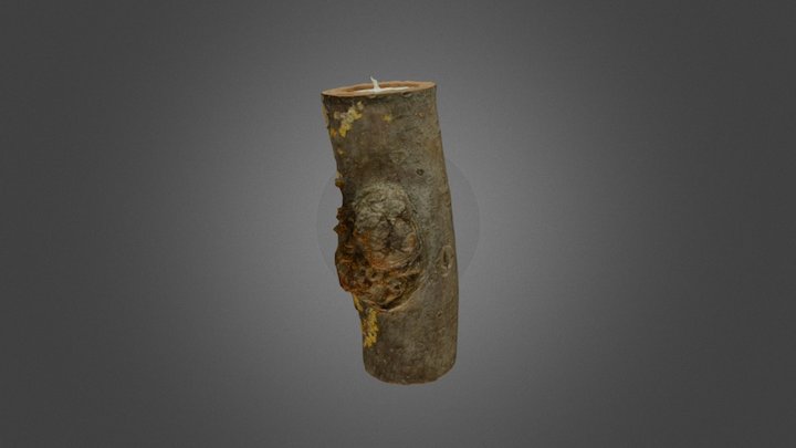 Branch Candleholder 3D Model