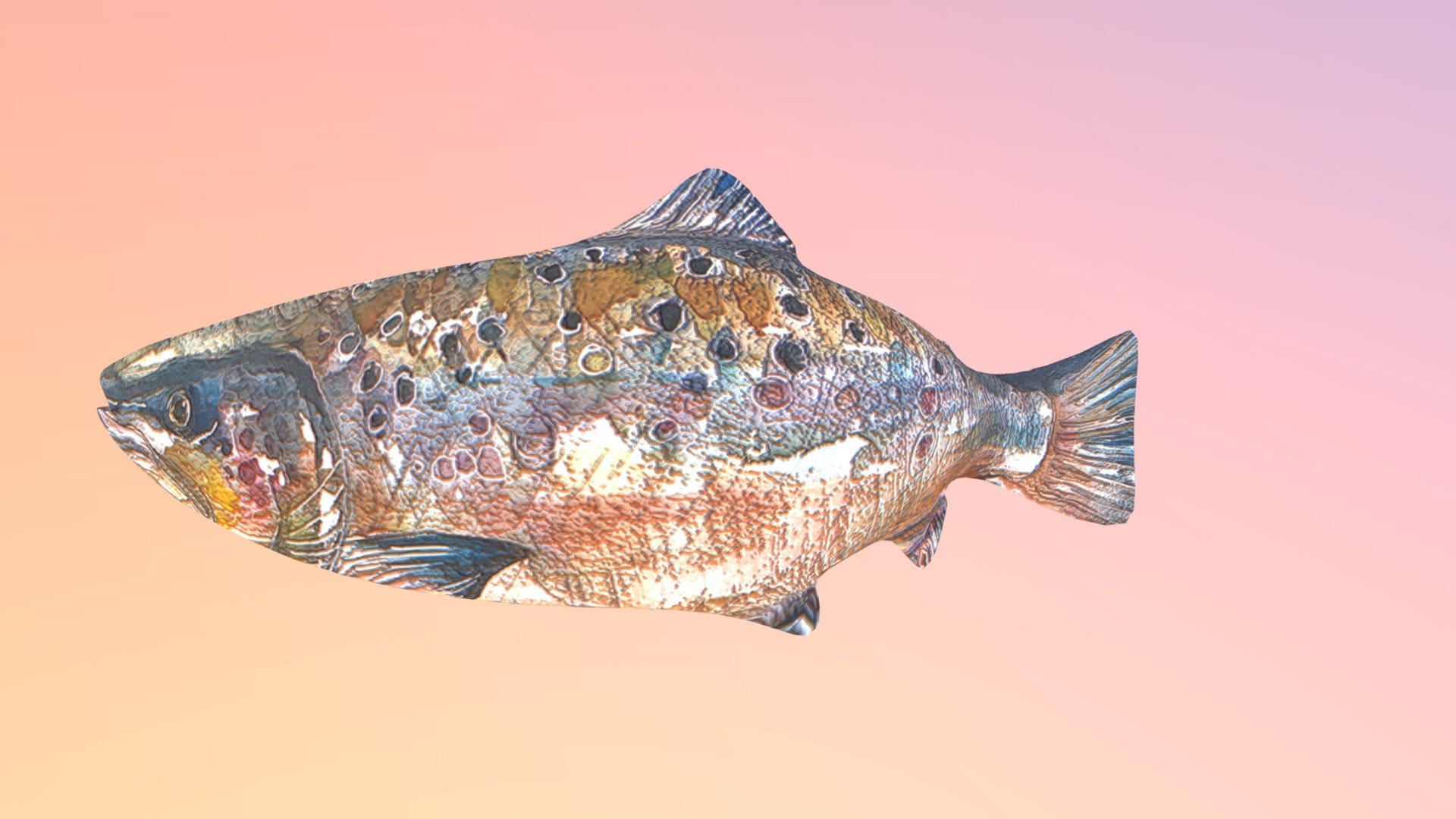 Salmon (1)