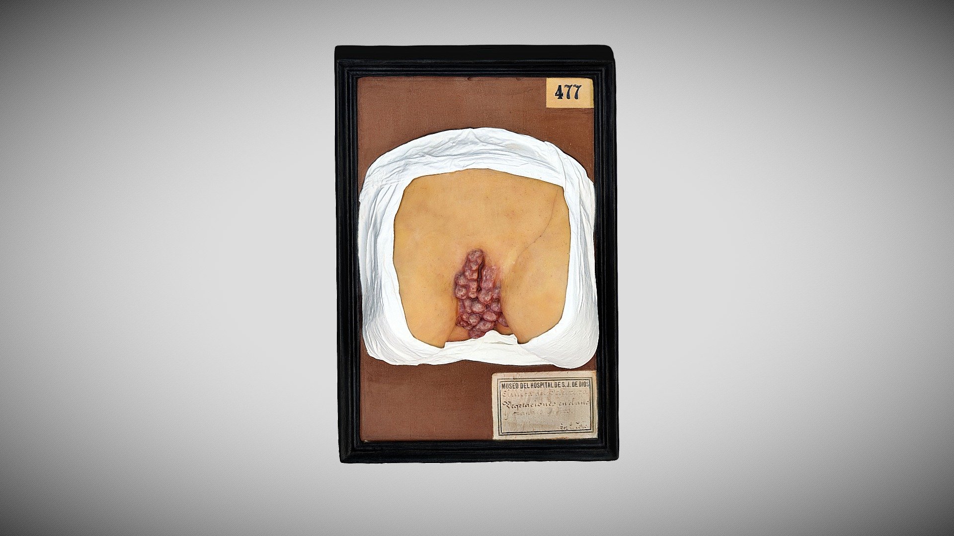 157 - 197 — Sketchfab embed 3D viewer