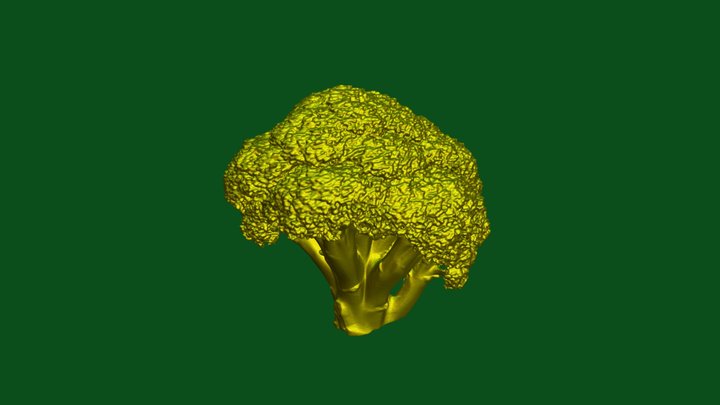 broccoli blue-light scan – Modello 3D gratuito STL