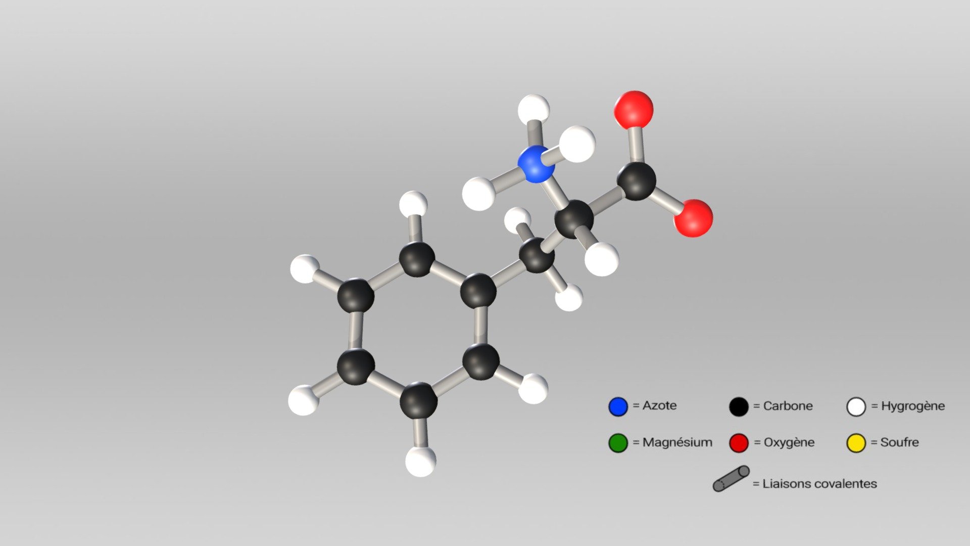 Molécule de phénylalanine