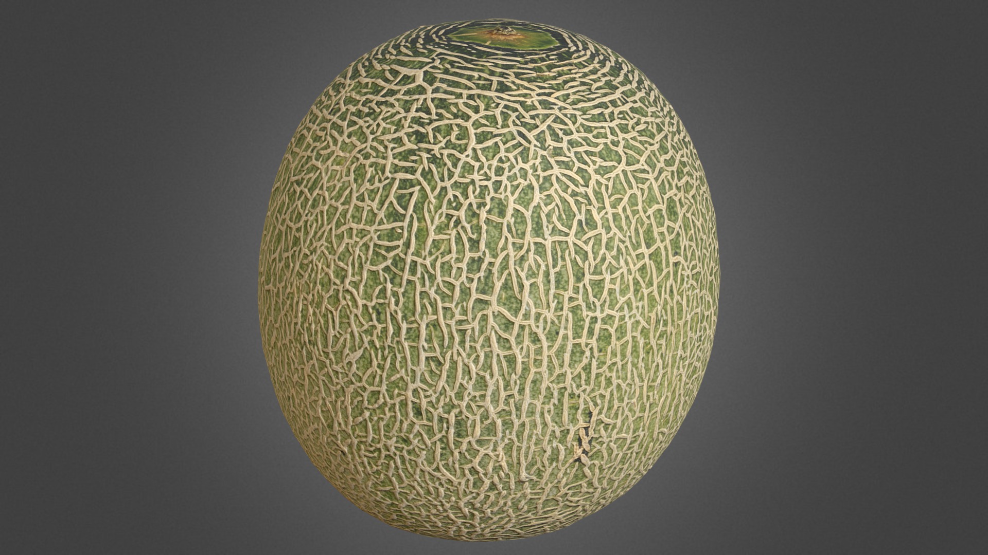 3D model Melon - This is a 3D model of the Melon. The 3D model is about a circular object with a hole in it.