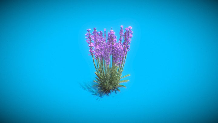 Flower 3D Model