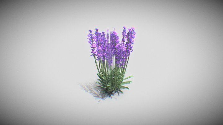 Flower 3D Model