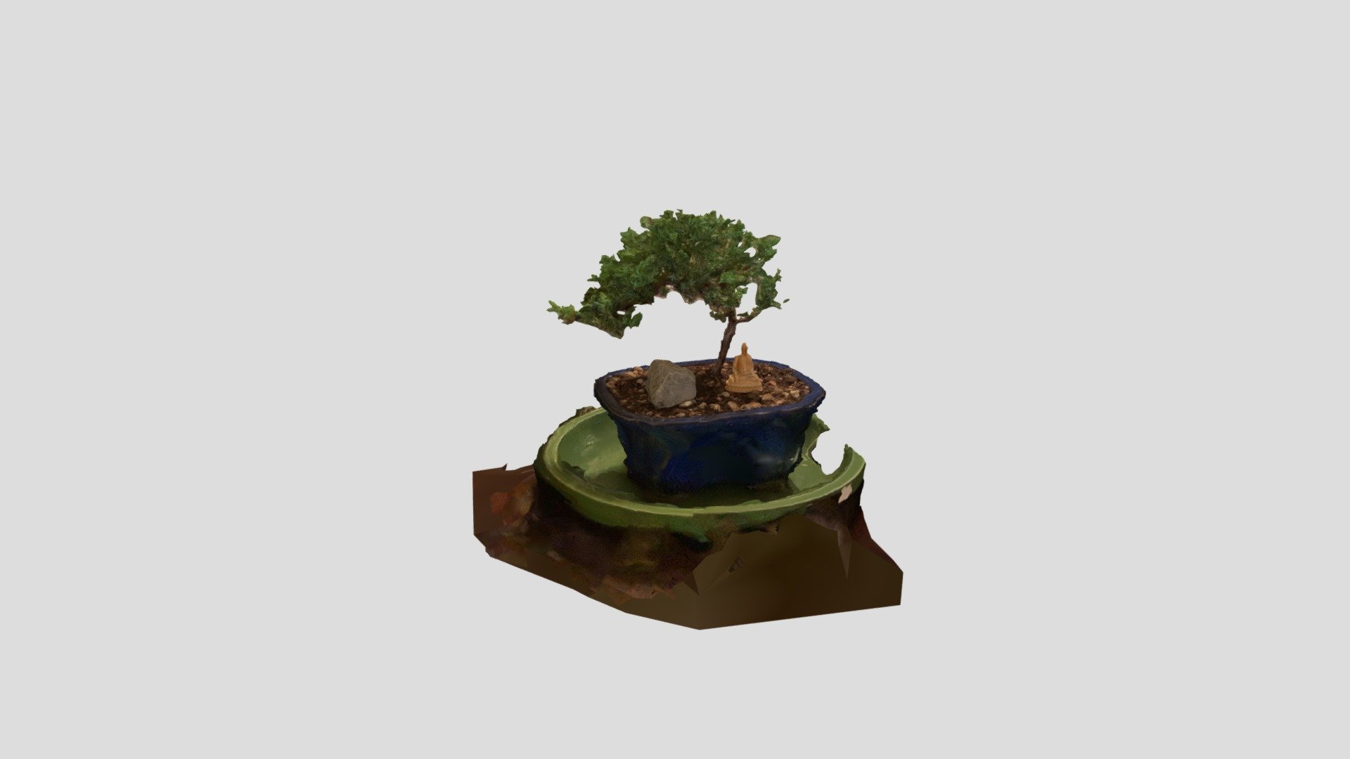 Juniper Bonsai - Realityscan — Sketchfab embed 3D viewer