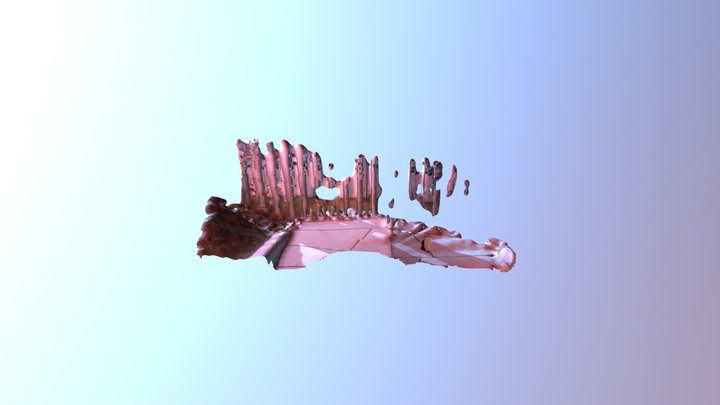 ICC 8 3D Model